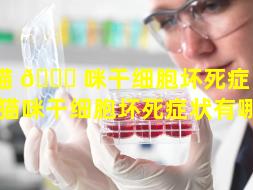 猫 🐒 咪干细胞坏死症 🐠 状（猫咪干细胞坏死症状有哪些）